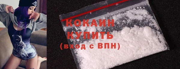 mix Бородино