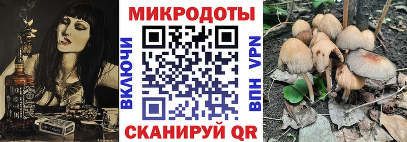 Псилоцибиновые грибы мицелий  Лукоянов 