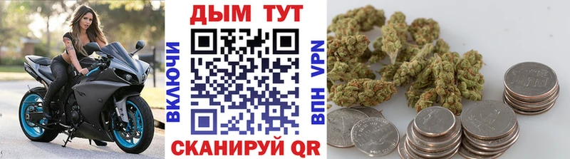 Бошки марихуана план Лукоянов